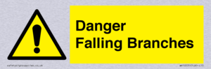 Danger Falling Branches